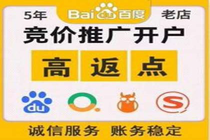 某知名品牌网络推广竞价全解析